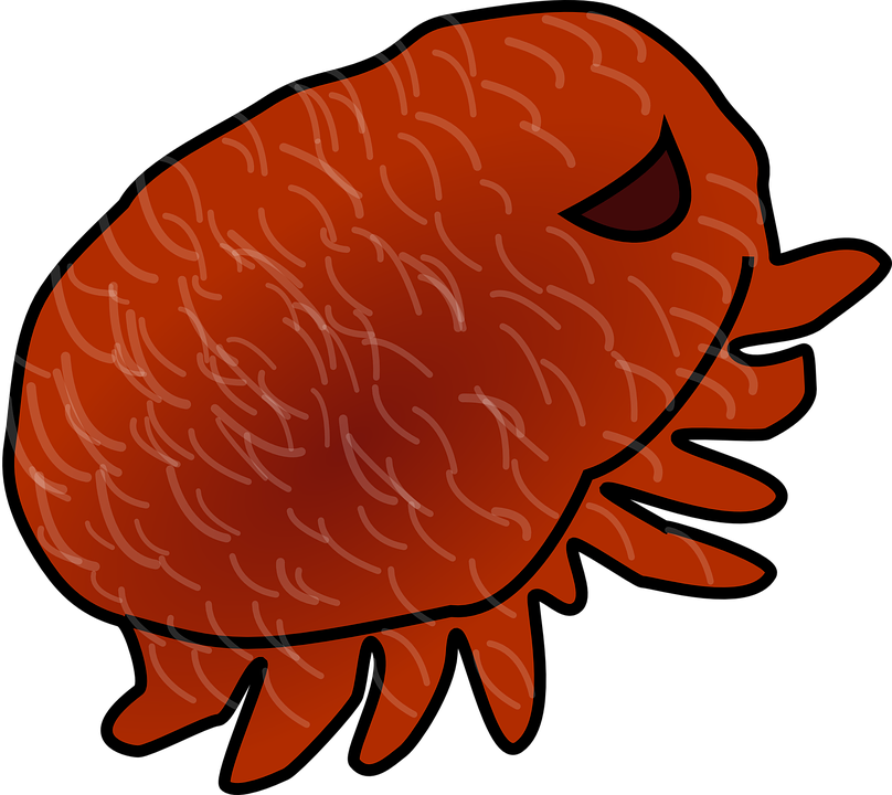 Parasite Louse Red - Паразит Пнг Clipart (808x720), Png Download