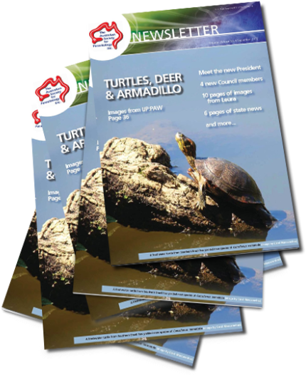 September - Tortoise Clipart (600x650), Png Download