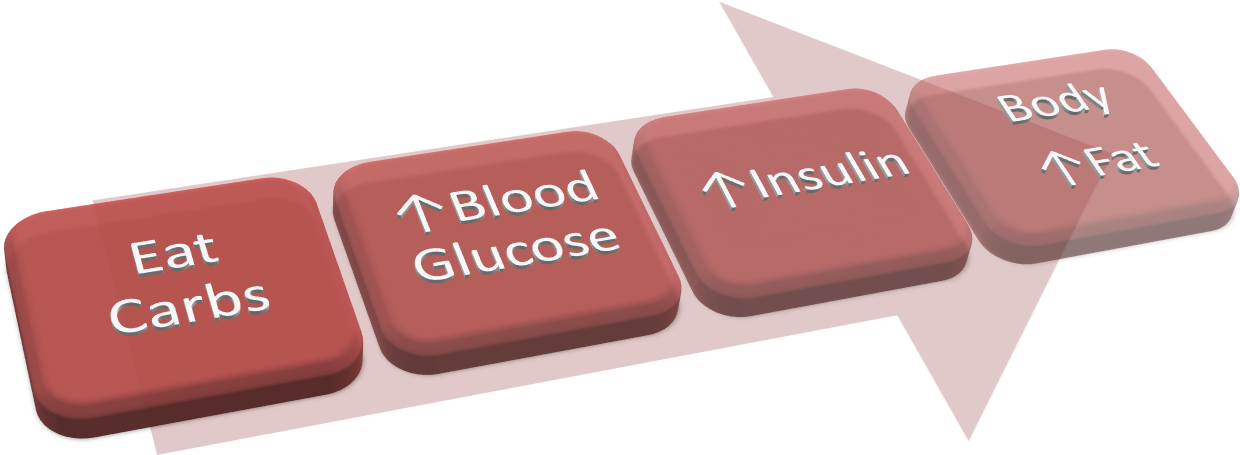 Guyton Says “the Foods On Which The Body Lives Can - Graphic Design Clipart (1293x734), Png Download