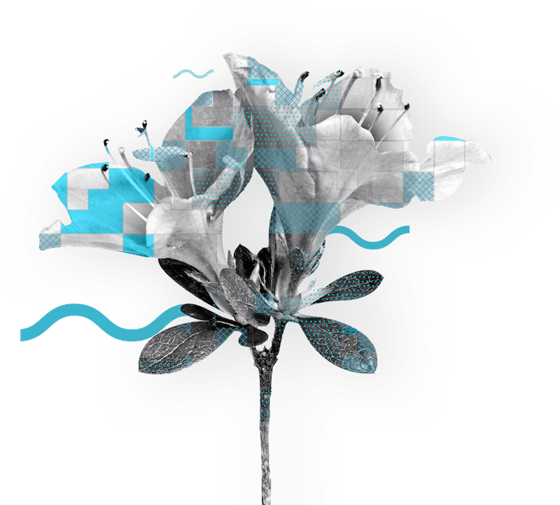 Chrysalis Flower - Artificial Flower Clipart (800x722), Png Download