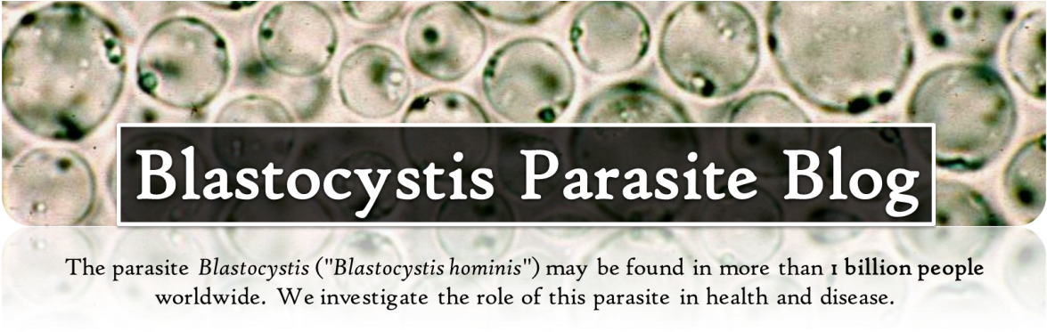 Billede31 - Blastocystis Parasite Clipart (1176x385), Png Download