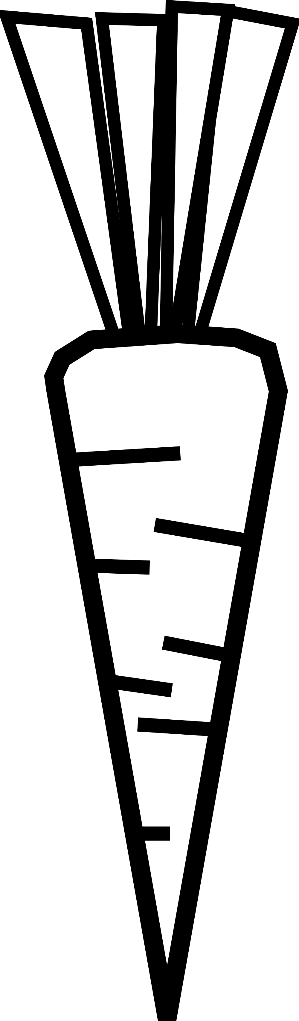 Clip Library Download Carrot Outline Awesome With Coloring - Black And White Carrots - Png Download (999x3436), Png Download