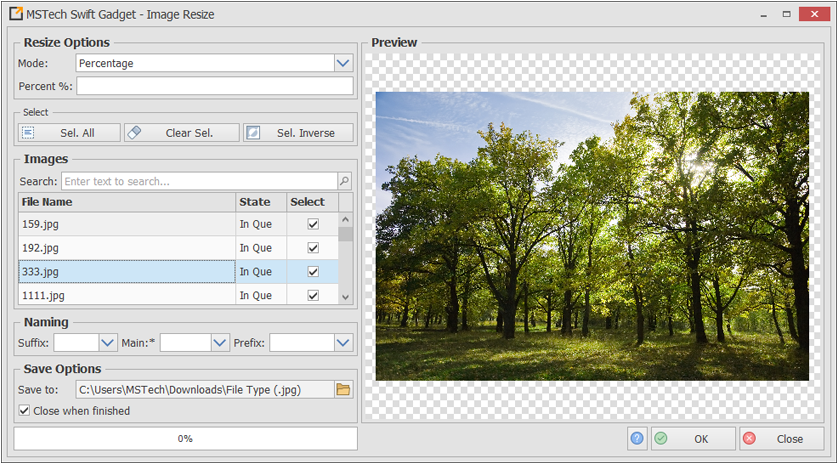 1 - 20 Maret Hari Kehutanan Sedunia Clipart (845x526), Png Download
