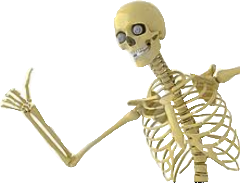 Esqueleto Sticker - Skeleton With Thumbs Up Clipart (993x759), Png Download