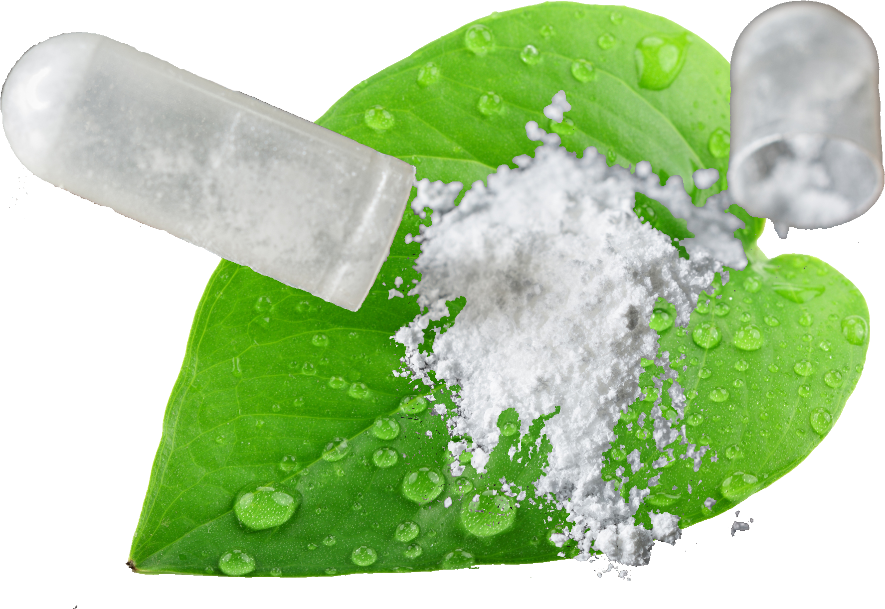 Green Leaf Clipart (2121x1414), Png Download