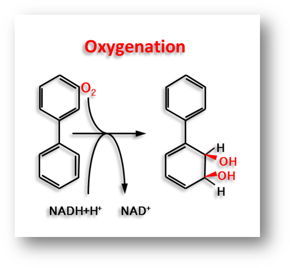 The Result Of Reacting 40 Mg Ml 1 Of Commercial Pcbs - Portable Network Graphics Clipart (580x535), Png Download