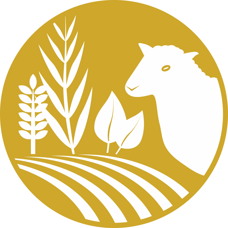 Production Icon Png Clipart (800x800), Png Download