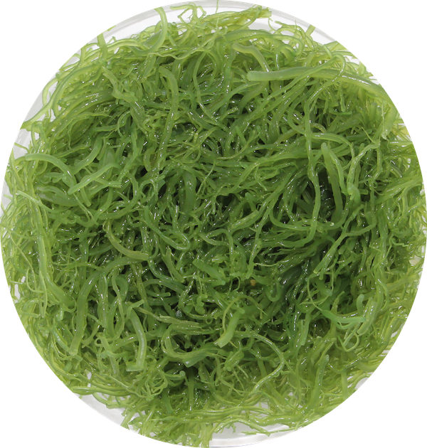 Artificial Turf Clipart (600x630), Png Download