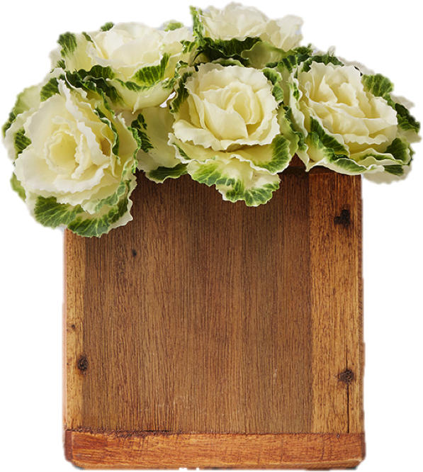 More Views - Garden Roses Clipart (974x1331), Png Download