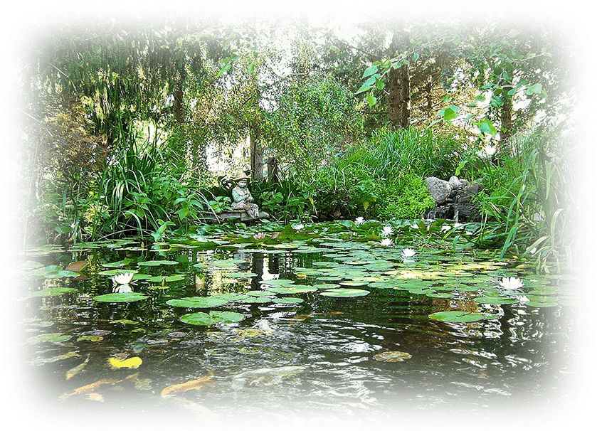 Avada Macbook Image - Fish Pond Clipart (840x630), Png Download