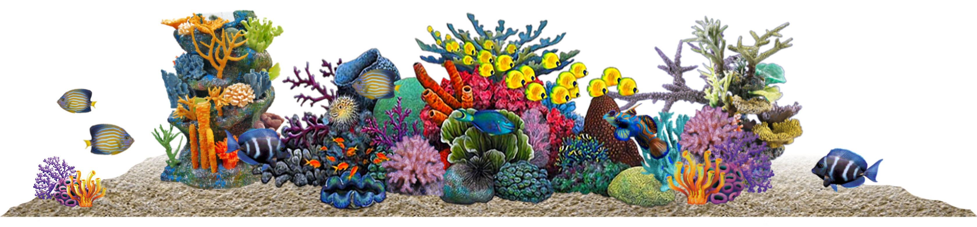 Conveniently Located To Serve You, We Offer A Huge - Coral Reef Clipart (3356x782), Png Download