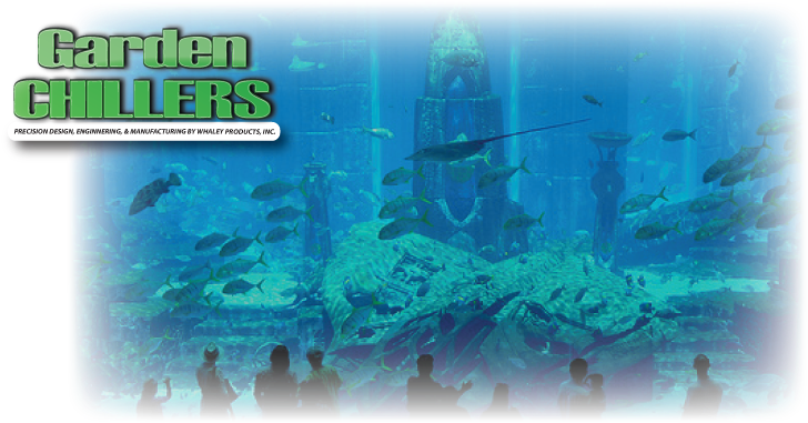Fish And Plants Are Pretty Adaptable, And Tolerable - Underwater Clipart (800x401), Png Download