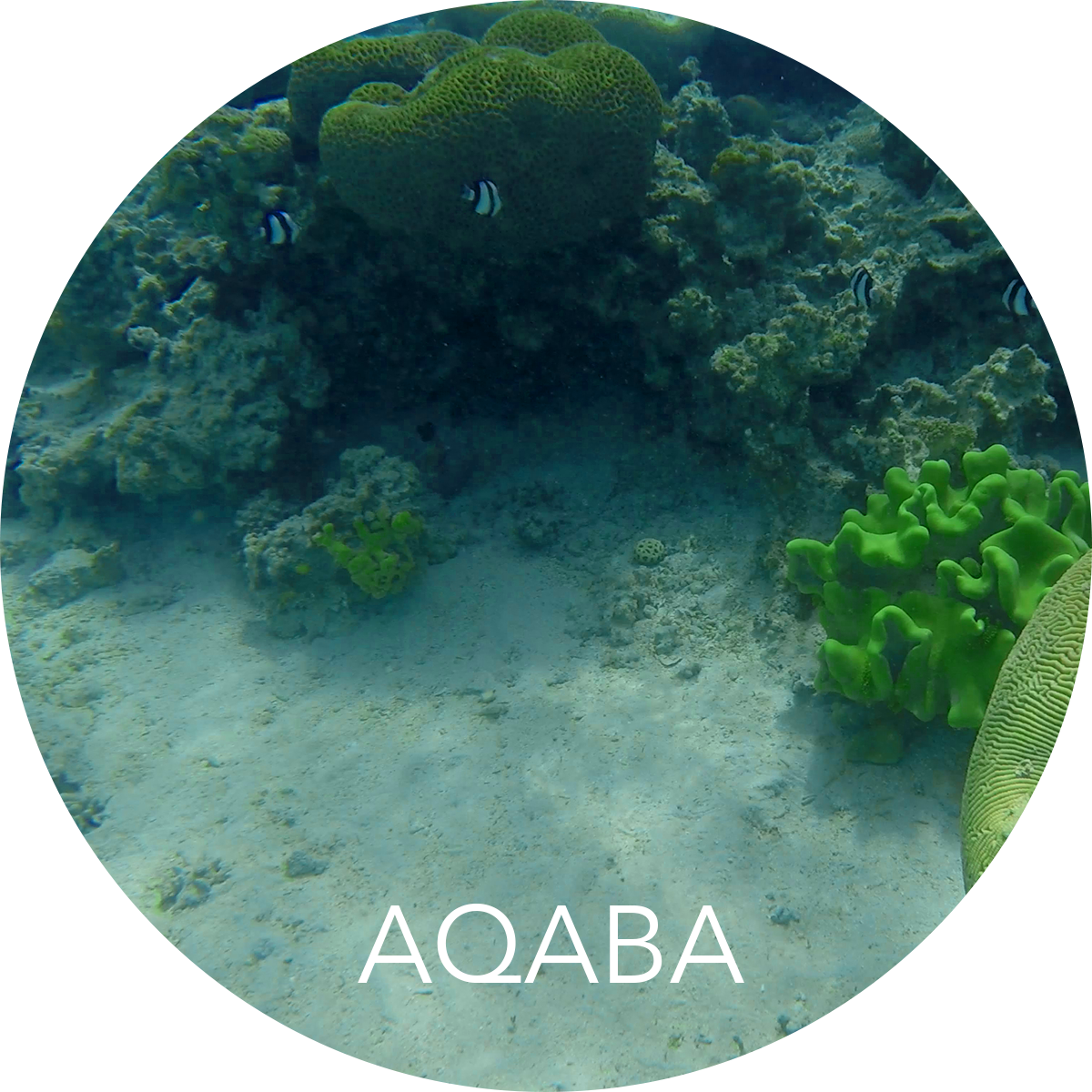 Our Route - Circle Clipart (1200x1200), Png Download