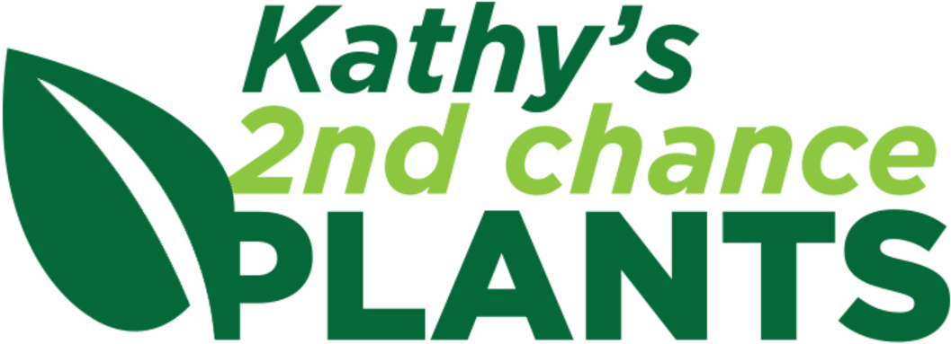 Kathy's 2nd Chance Plants, Llc - Sfr Clipart (1200x525), Png Download
