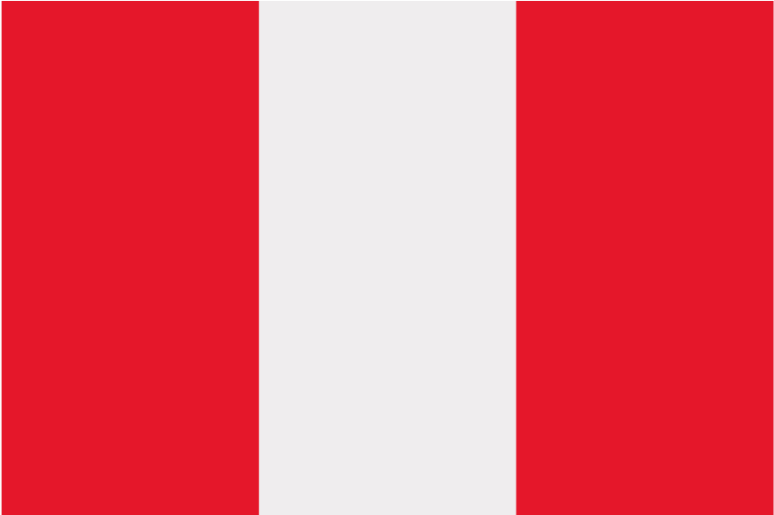 Peru - Bandera De Peru Mini Clipart (868x729), Png Download
