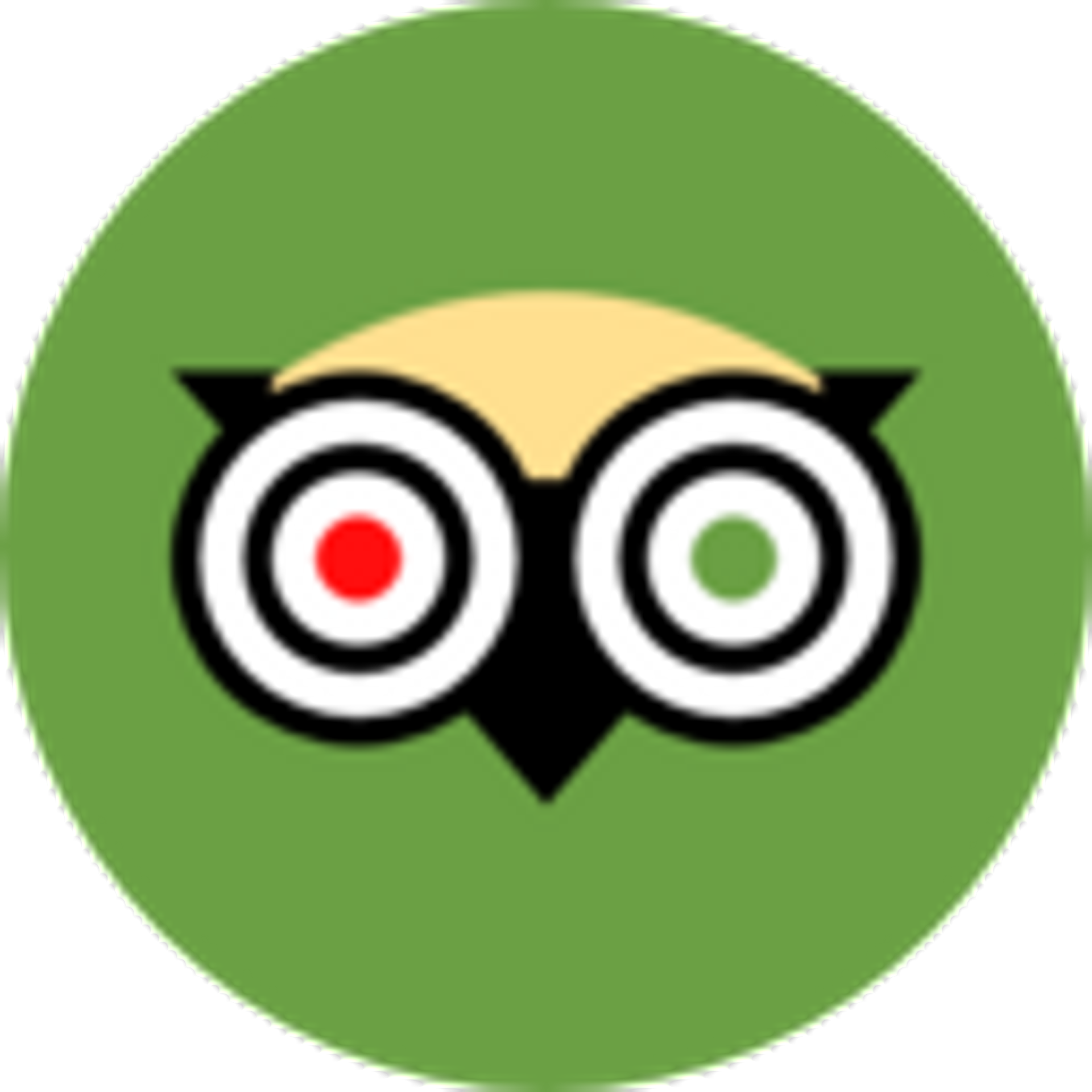 Internet Location Logo Seo Share Tripadvisor Web - Trip Advisor Round Icon Clipart (1920x1920), Png Download