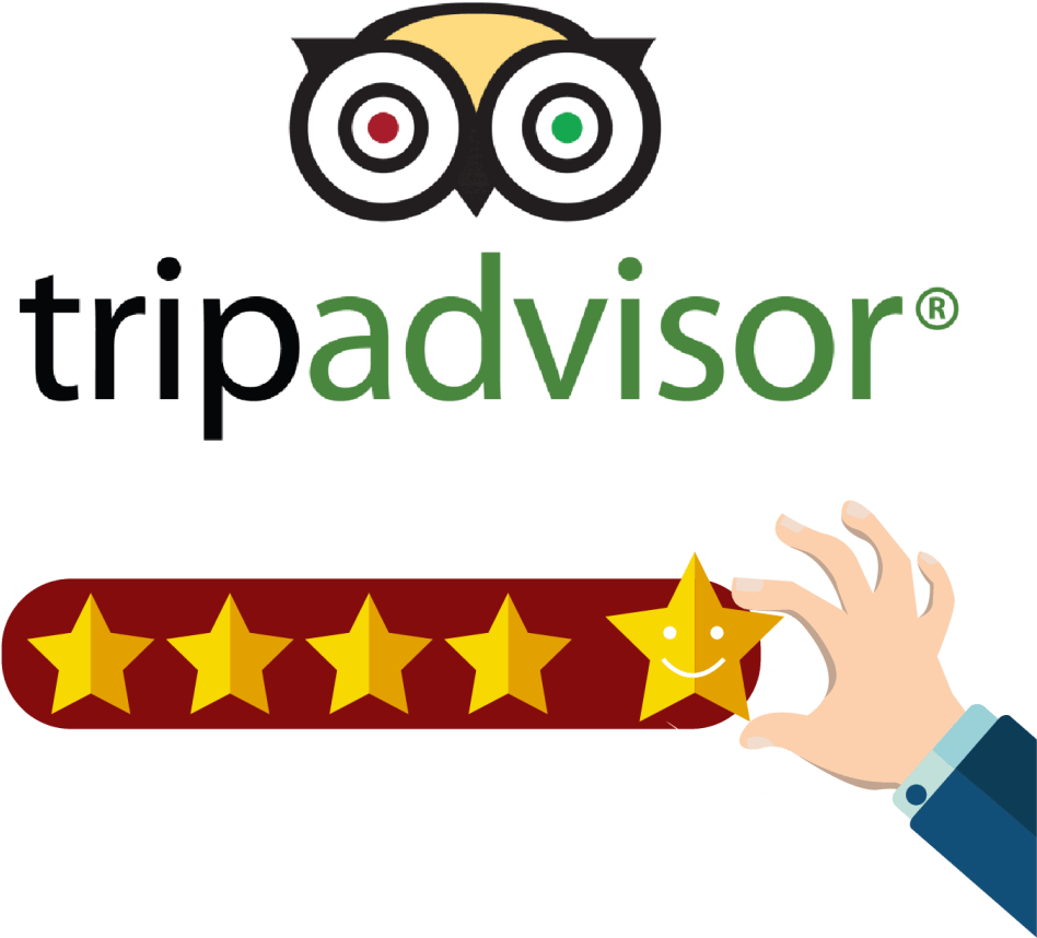 Trip Advisor And Trust You Reviews - Trip Advisor Clipart (1024x1024), Png Download
