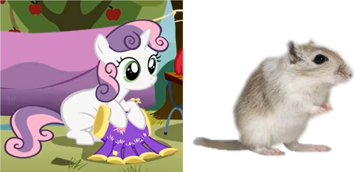 Cute, Gerbil, Rodent, Safe, Sweetie Belle, Sweetie - Mouse Clipart (1280x599), Png Download