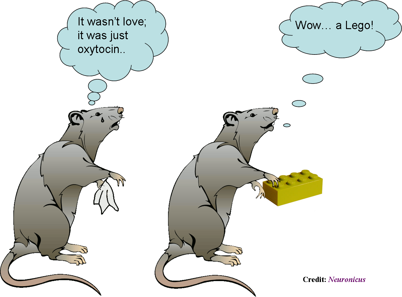Rat Cartoon Transparent Clipart (1314x970), Png Download
