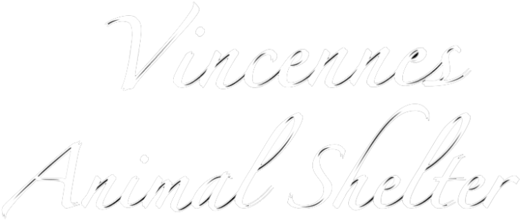 Calligraphy Clipart (1500x376), Png Download