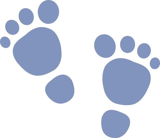 Footprint, Baby, Blue, Boy, Feet, Steps, Birth, Newborn - Baby Feet Clip Art - Png Download (640x554), Png Download
