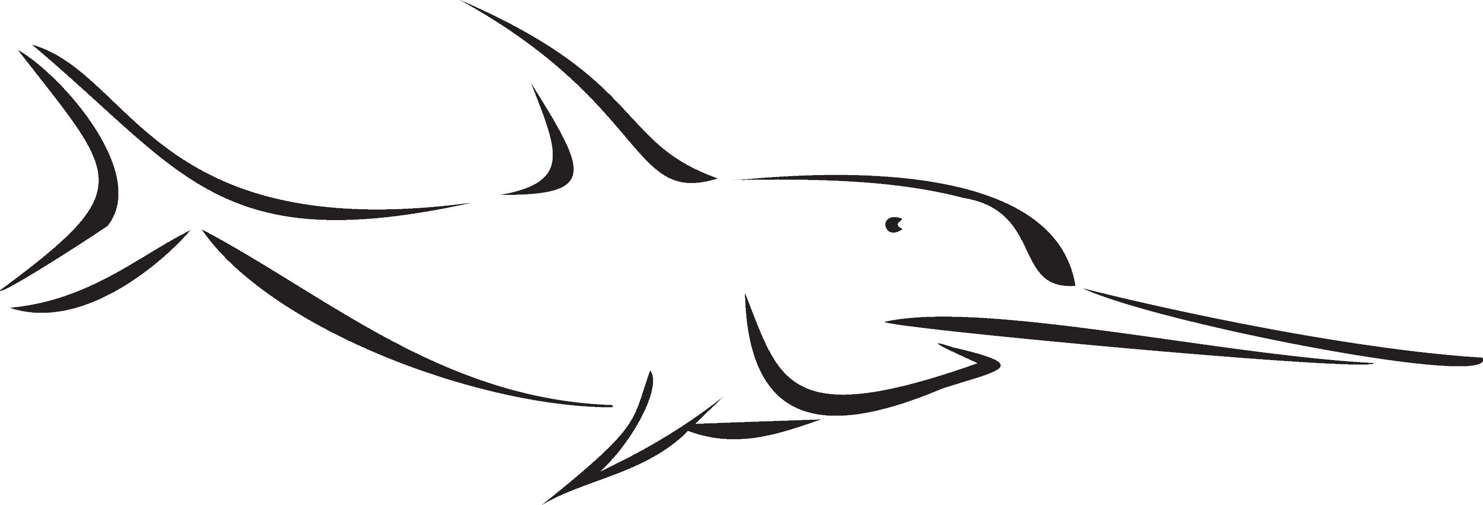 Fishing Charters & Sightseeing Tours Clipart (3000x1021), Png Download