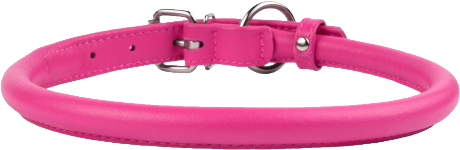 Dog Collar Png - Buckle Clipart (1100x650), Png Download