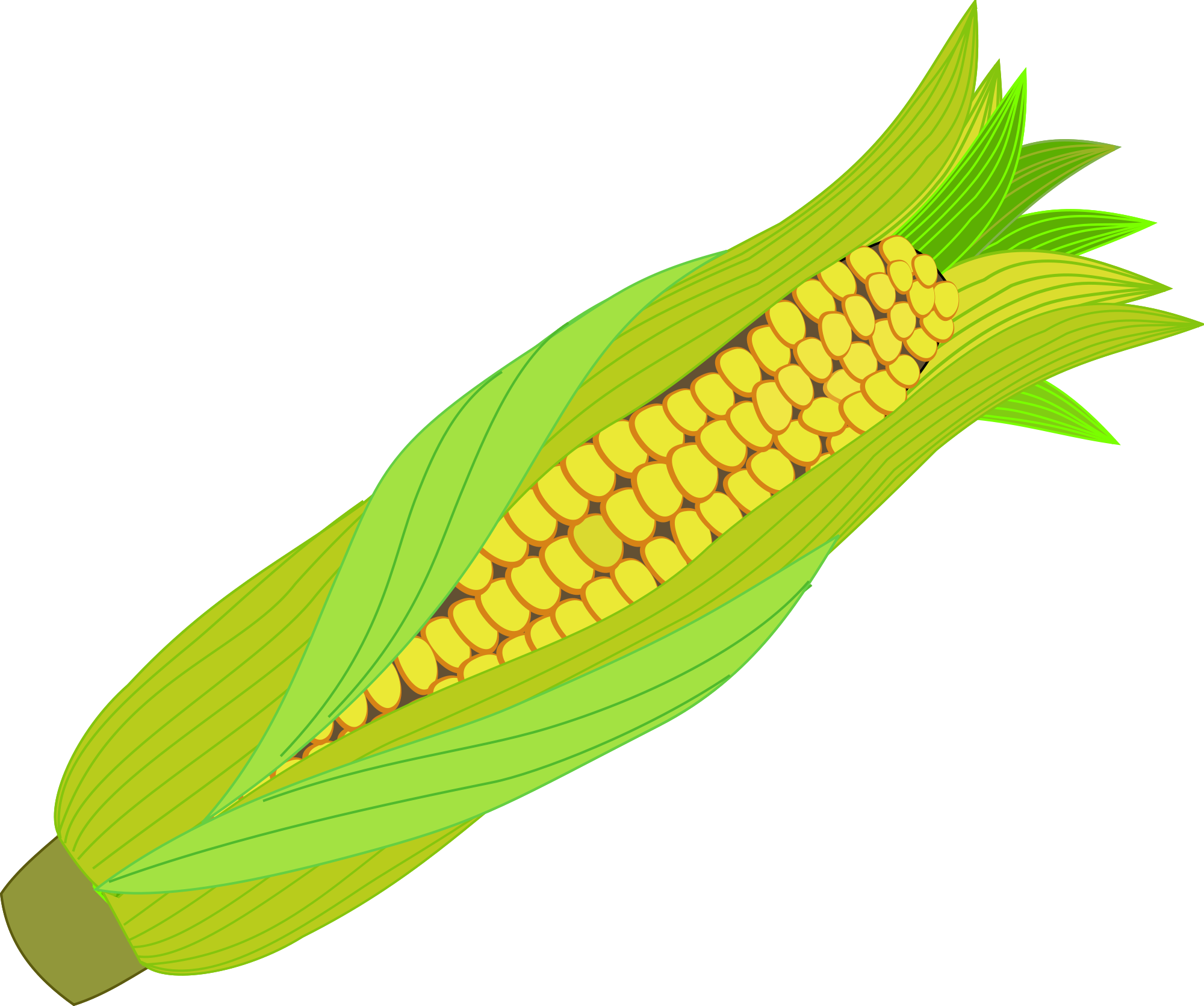 Кукуруза картинка png
