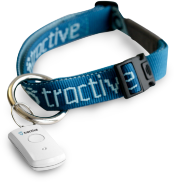 Bracelet Clipart (695x452), Png Download