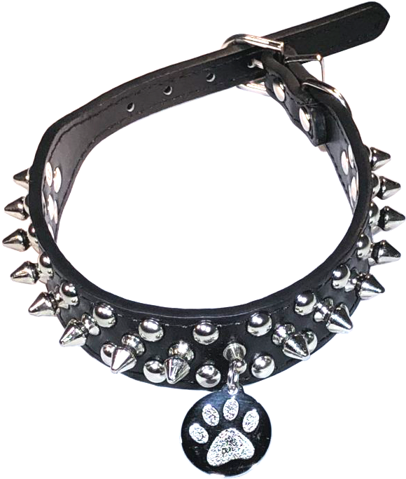 Ssts15 Custom Leather - Choker Clipart (703x789), Png Download