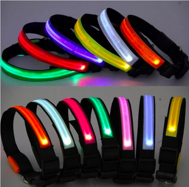 Led Dog Collar With 3 Light Settings - Vízálló Világító Kutya Nyakörv Clipart (800x600), Png Download