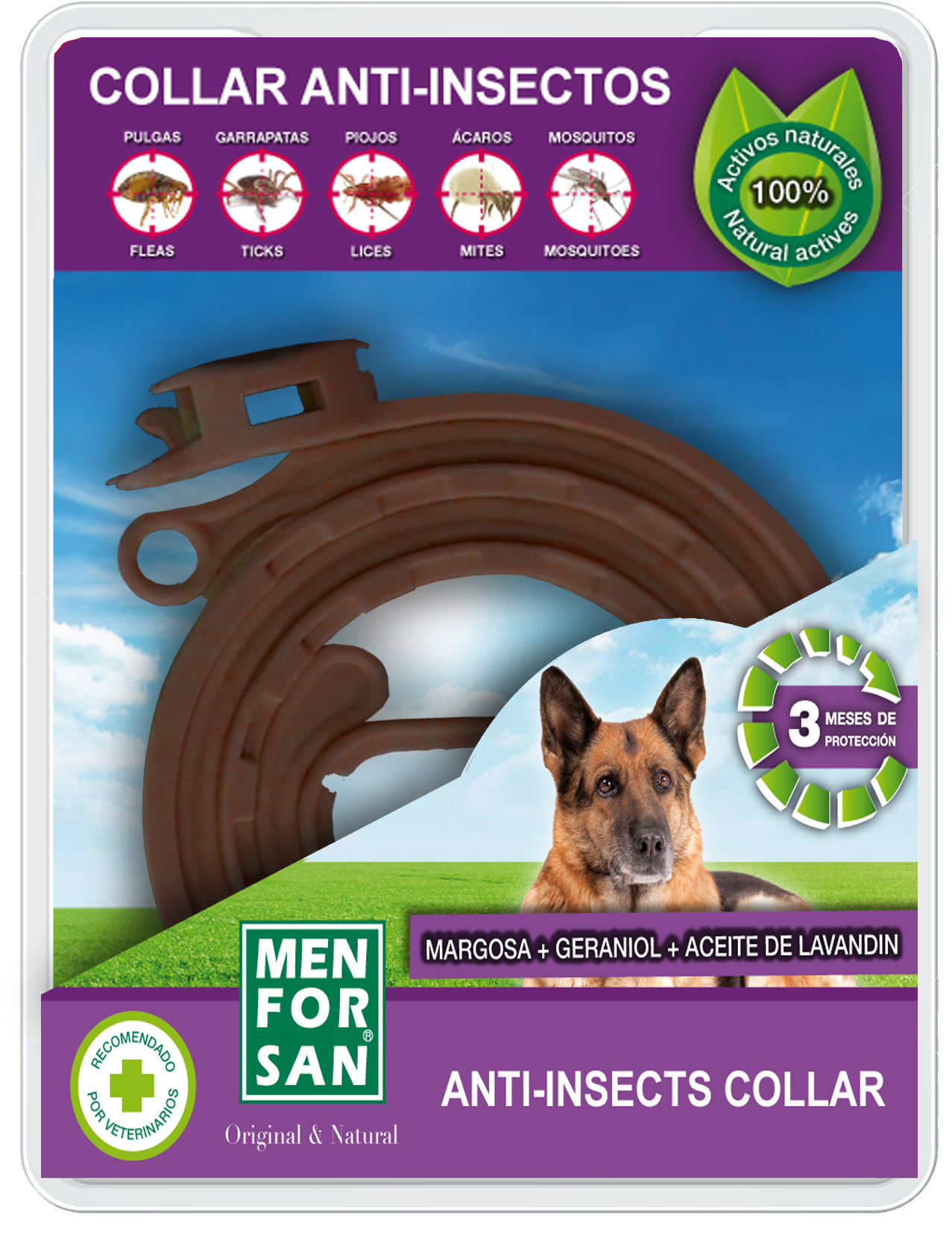 Anti-insect Collar For Dogs - Anti Insect Dog Collar Clipart (1453x1772), Png Download