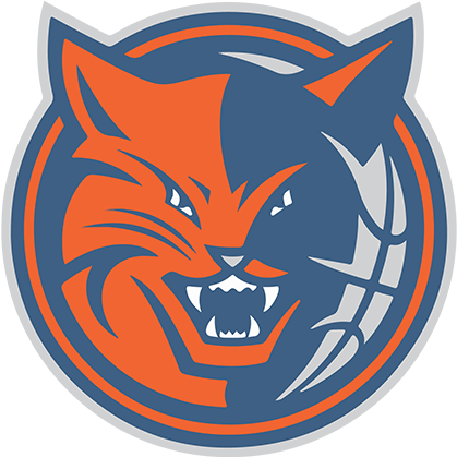 New Charlotte Bobcats Logo Clipart (500x666), Png Download