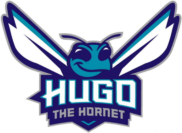 Charlotte Hornets Logo Png Clipart (750x930), Png Download