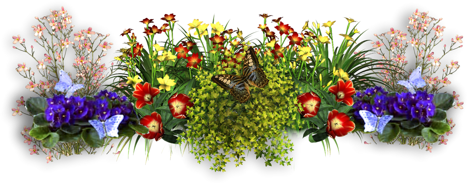 Flowers Clipart (1600x622), Png Download