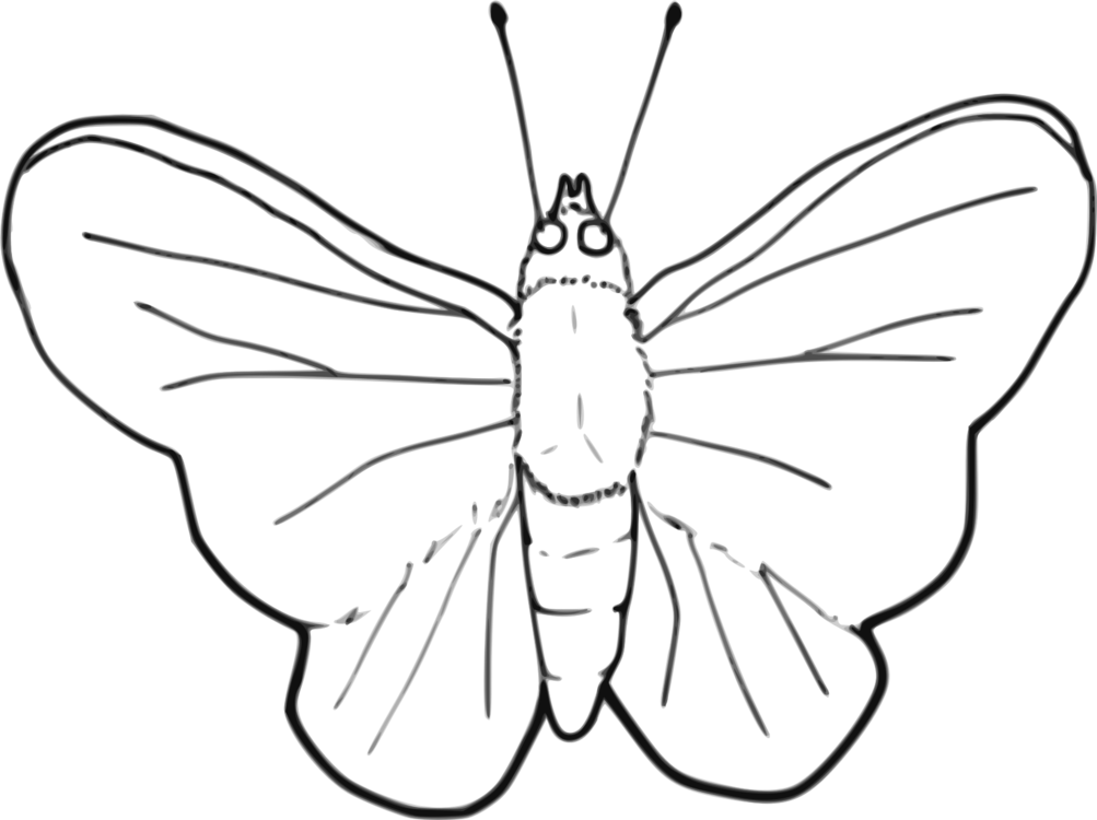 Brush-footed Butterflies Butterfly Insect Black And - Insect Black And White Clipart - Png Download (1003x750), Png Download