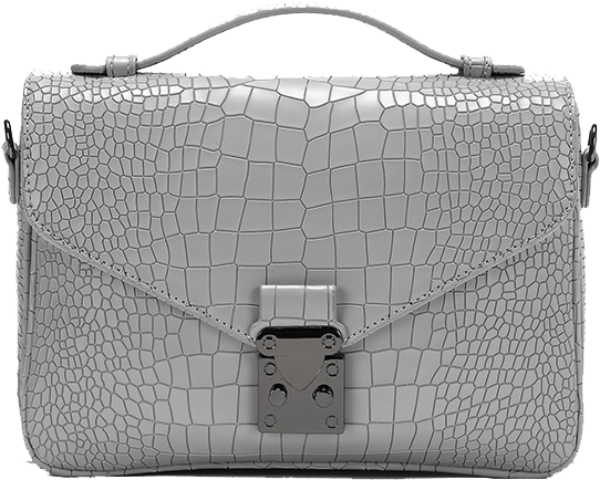 Package Alligator Purse Crocodiles Daphne Handbag Clipart - Handbag - Png Download (790x716), Png Download