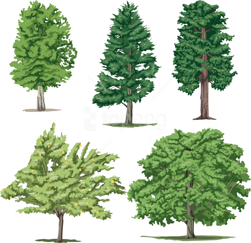 Free Png Download Tree Clipart Png Photo Png Images - Tom And Jerry Kids Transparent Png (850x829), Png Download