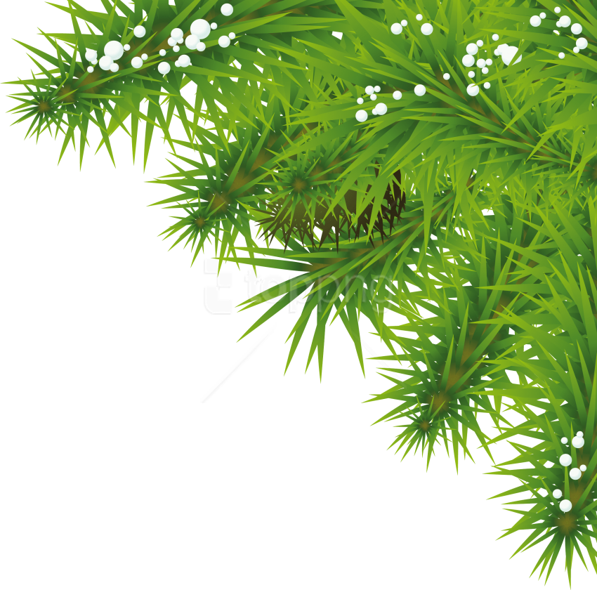 Download Fir Tree Clipart Png Photo - Png Tree Background Hd Transparent Png (850x840), Png Download