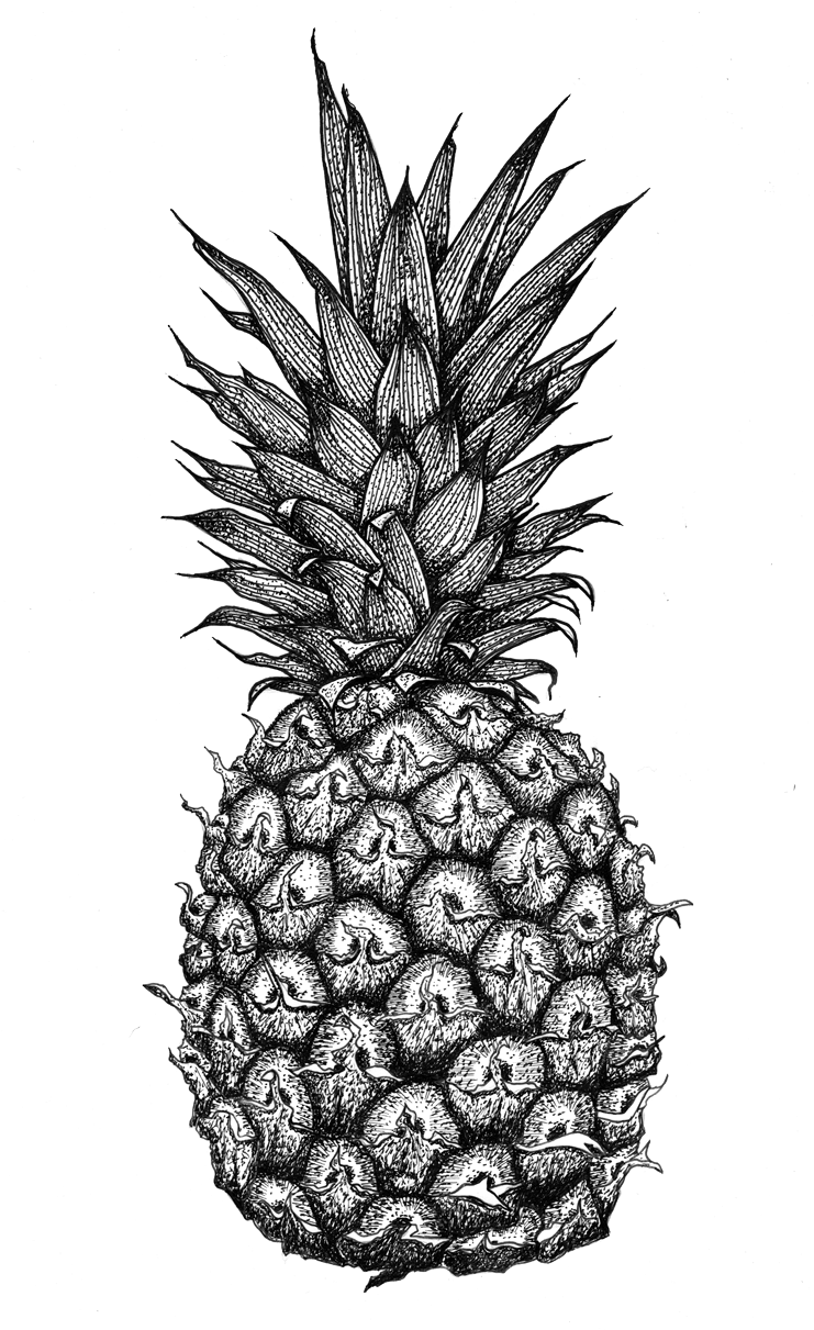 Pineapple Clipart (740x1240), Png Download