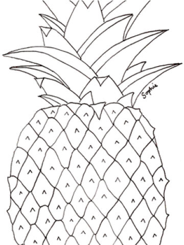 Pineapple Pictures To Colour Clipart (640x480), Png Download