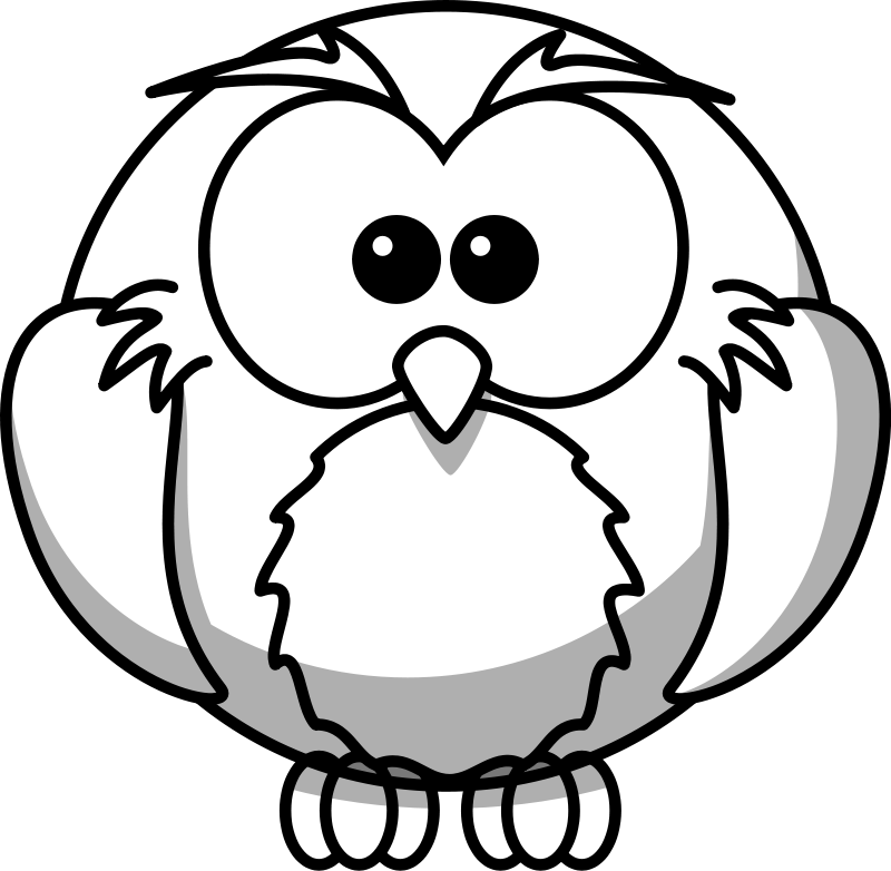 Owl Outline Drawing - Drawing Of Owl Outline Clipart (800x782), Png Download