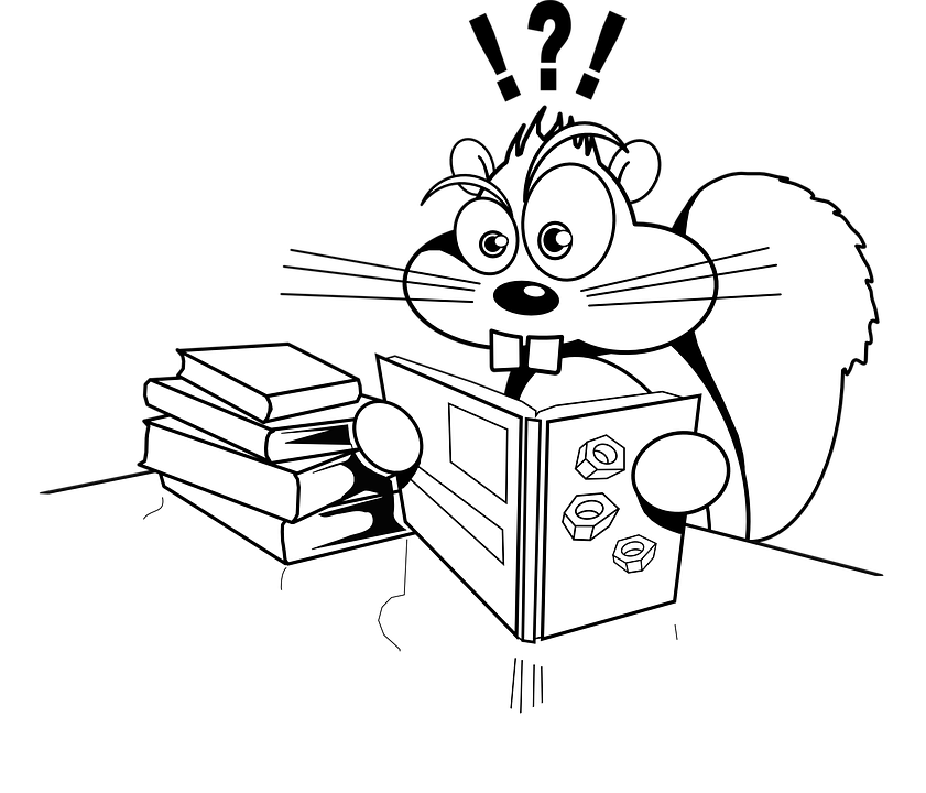 Squirrel, Reading, Books, Surprise - Reading Pun Clipart (841x720), Png Download