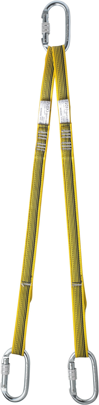 View Image - Ski Clipart (1600x1600), Png Download