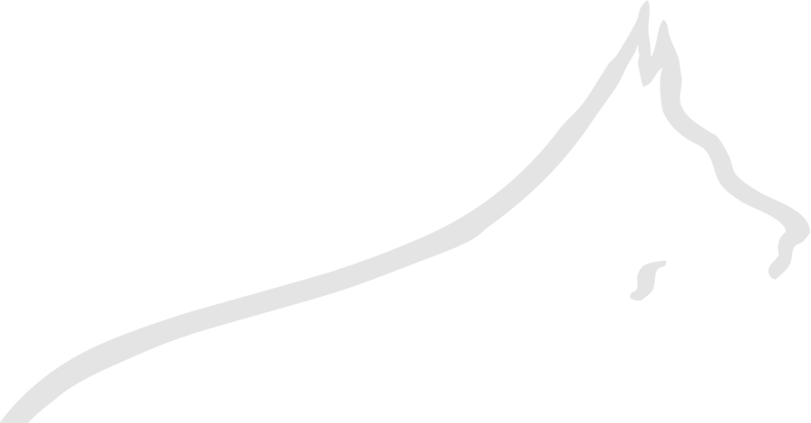 Contact Us - White Silhouette Dog Png Clipart (900x470), Png Download