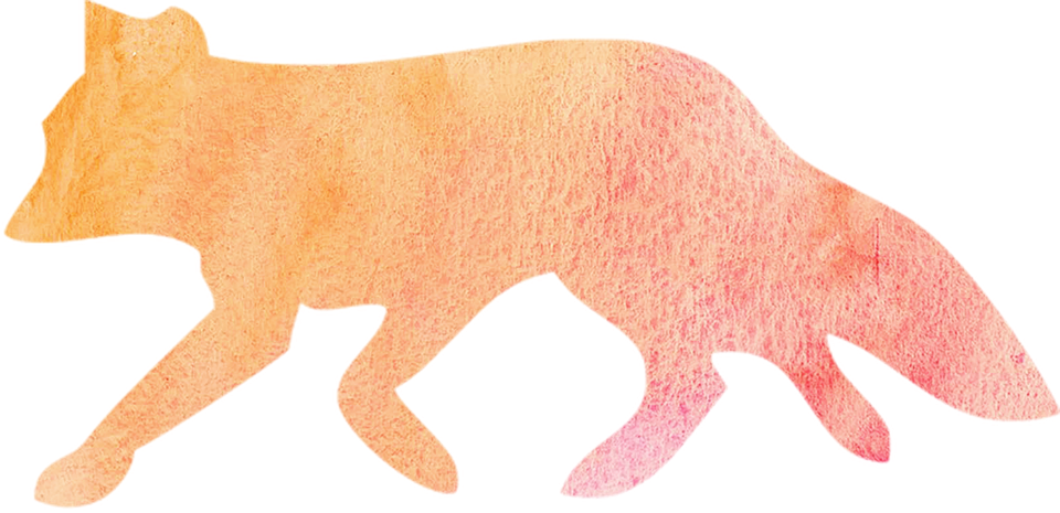 Watercolor Fox Animal Cute Wild Nature Wildlife - Watercolor Painting Clipart (960x465), Png Download