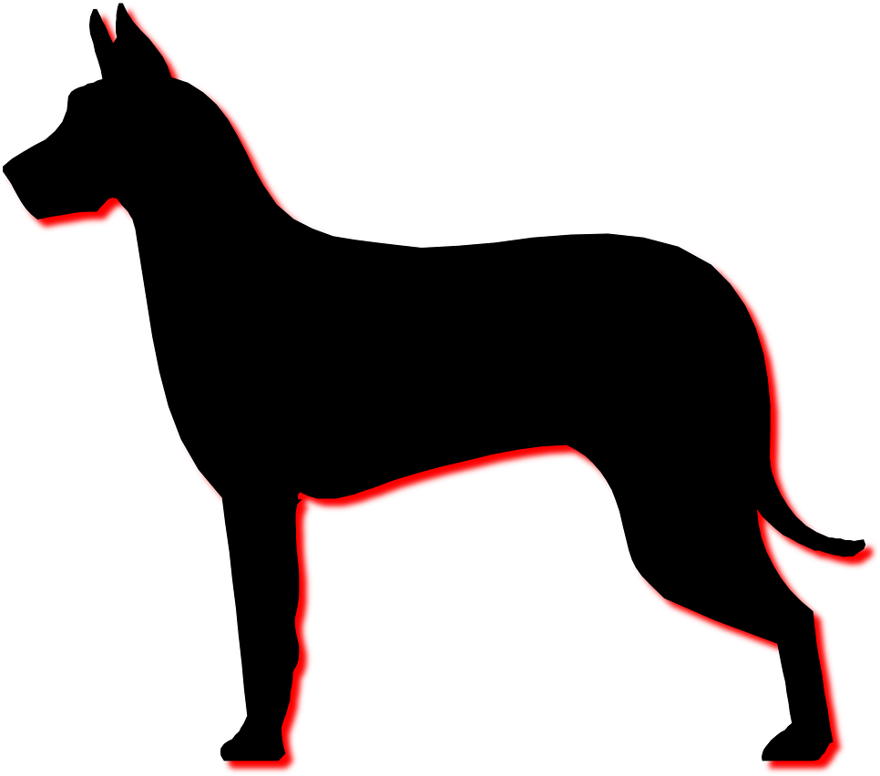 Dog Profile Silhouette Animal Png Image - Perfil De Un Perro Clipart (1280x921), Png Download