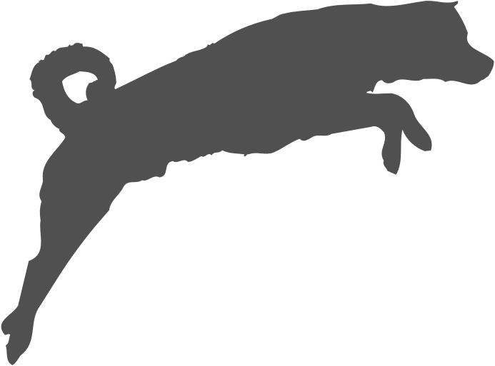 Agility Classes - Dog Catches Something Clipart (729x546), Png Download