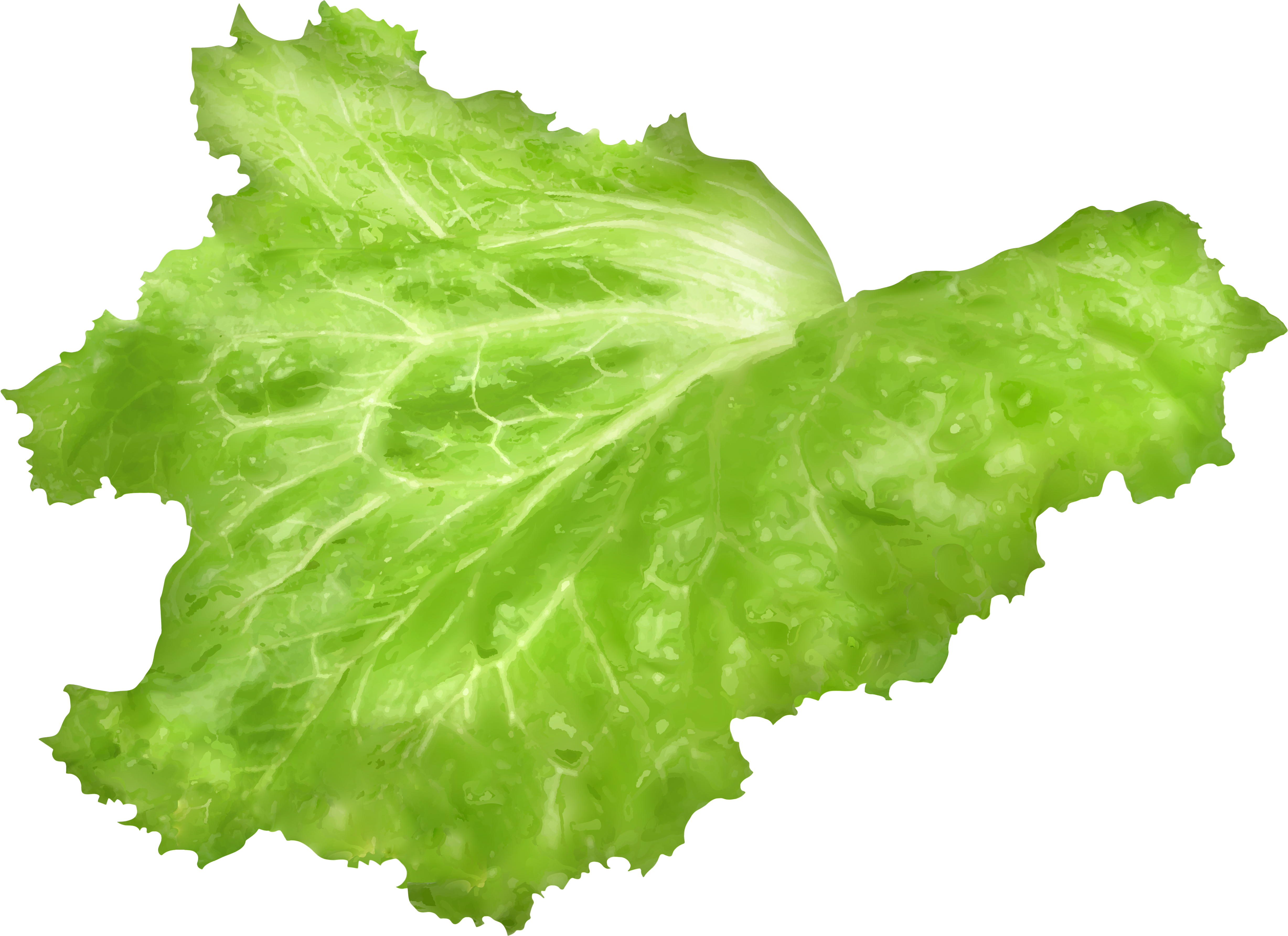 View Full Size Clipart (5000x3728), Png Download