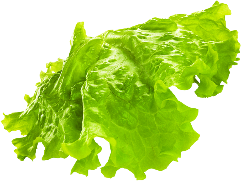 Green Png Transparent Image - Iceburg Lettuce Clipart (866x650), Png Download